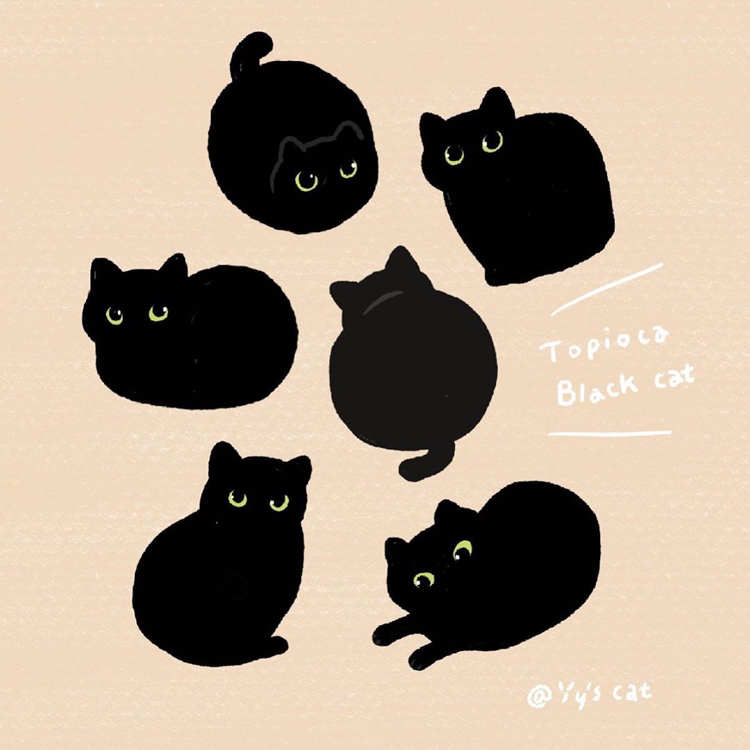 Yy’s cat