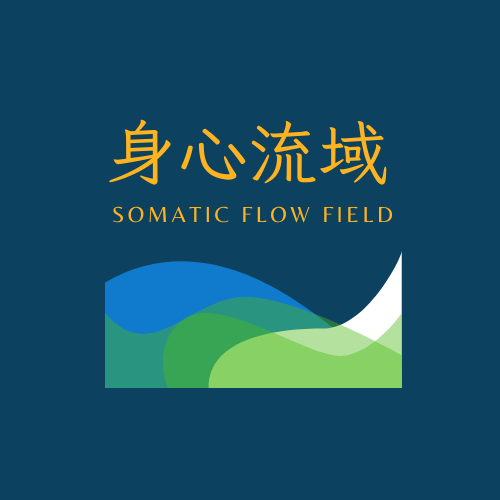 身心流域Somatic Flow Field